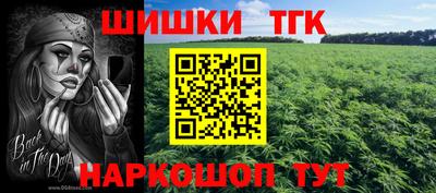 ешки Шелехов