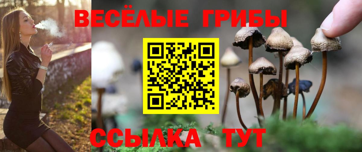 Красноармейск  Галлюциногенные грибы мухоморы  Псилоцибиновые грибы Magic Shrooms  наркошоп  Вход с VPN 